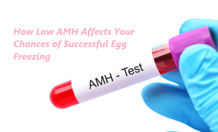 How Low AMH Affects Your Chances of Successful Egg Freezing